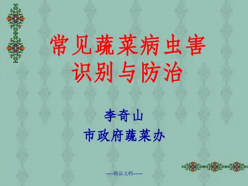 常见蔬菜病虫害的识别与防治