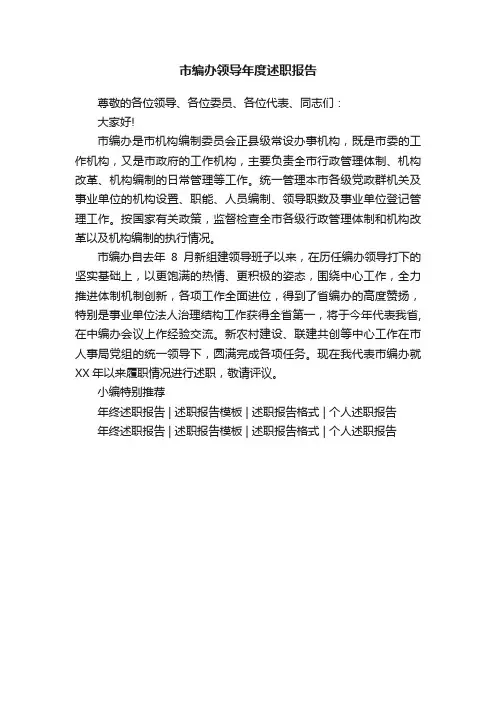 市编办领导年度述职报告