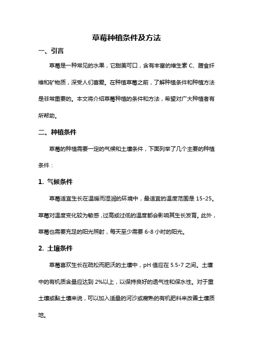 草莓种植条件及方法