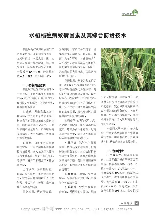 水稻稻瘟病致病因素及其综合防治技术