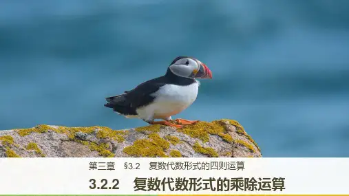 3.2.2_复数代数形式的乘除运算