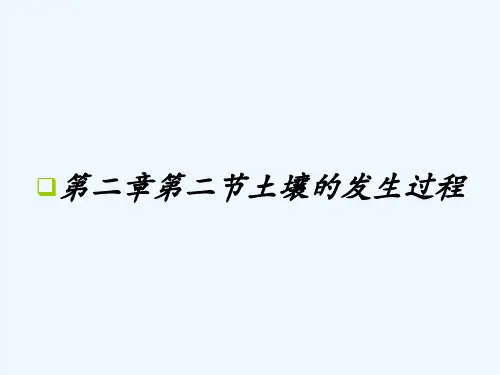 第二章第二节土壤的发生过程 PPT