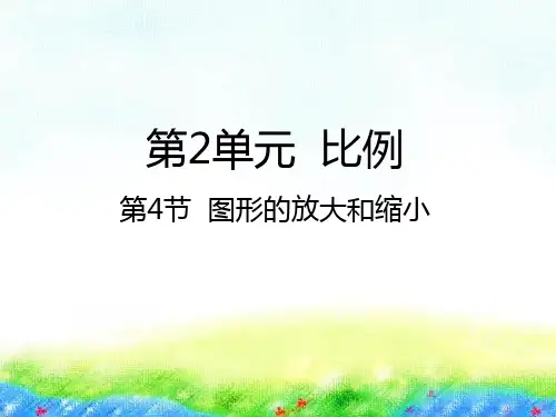 六年级下册数学课件-2.4 图形的放大和缩小北师大版(2014秋) (共23张PPT)
