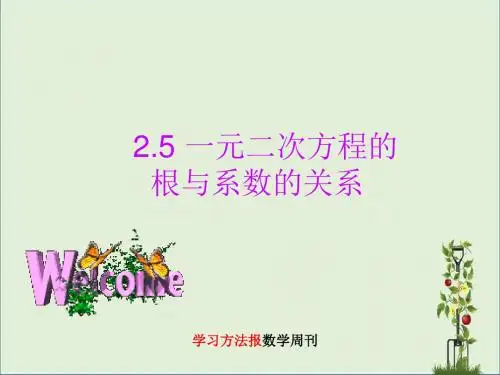 2.5 一元二次方程的根与系数的关系 (2)