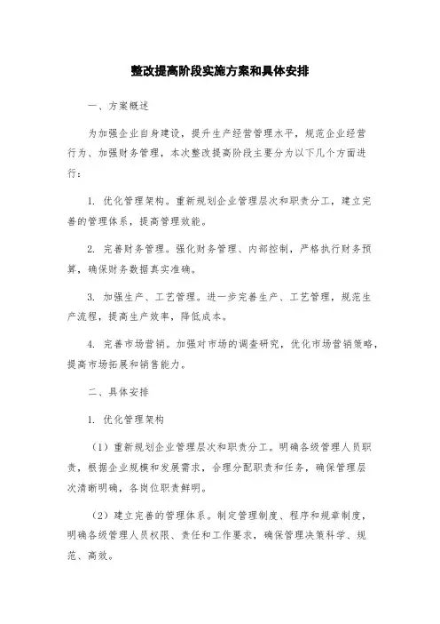 整改提高阶段实施方案和具体安排