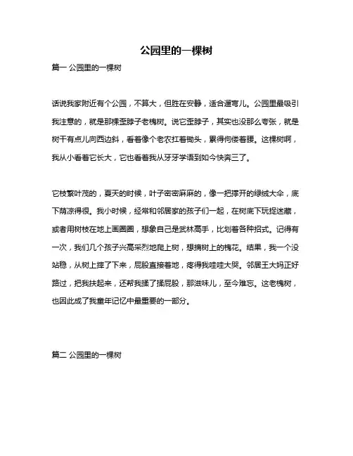 作文《公园里的一棵树》