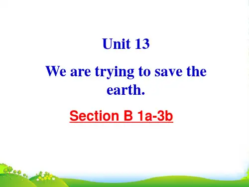 人教版九年级英语下册《Unit13 We’re trying to save the earth》(