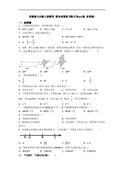 苏教版七年级上册数学 期末试卷复习练习(Word版 含答案)