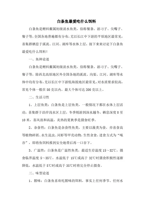 钓鱼技巧：白条鱼最爱吃什么饵料
