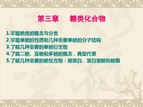 糖类化合物ppt课件