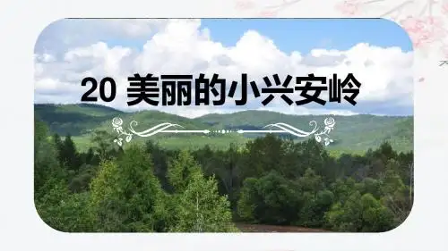 最新部编版三年级语文上册第20课《美丽的小兴安岭》精美课件
