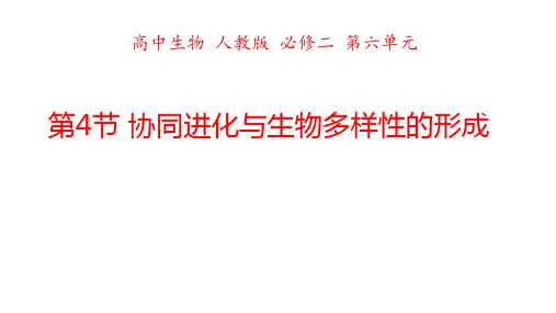 协同进化与生物多样性形成说课课件-2023-2024学年高一下学期生物人教版(2019)必修2