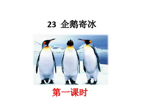 (公开课课件)二年级语文上册《企鹅寄冰》课件