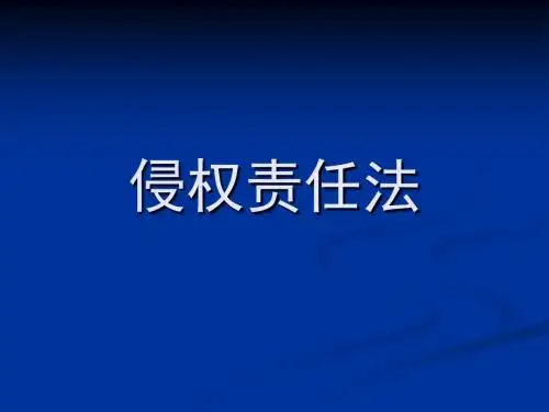 侵权责任法ppt分析