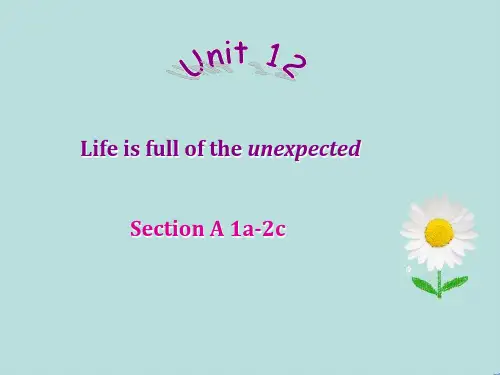 人教版英语九年级unit12全单元课件