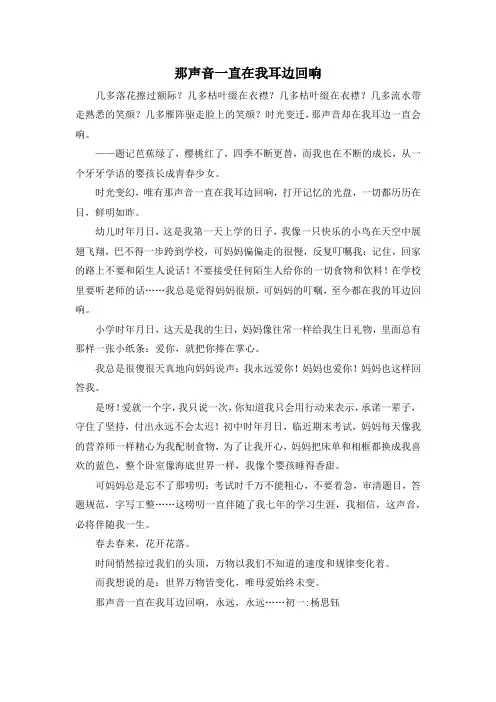 初一作文及演讲稿-那声音一直在我耳边回响 精品