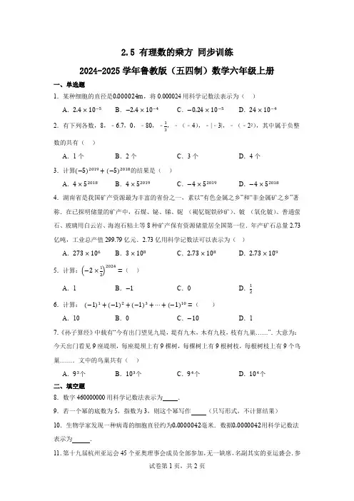2.5有理数的乘方同步训练2024-2025学年鲁教版(五四制)数学六年级上册