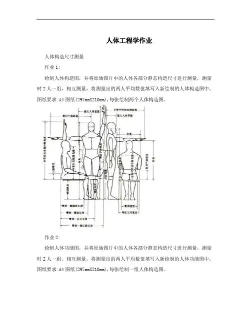 人体工程学作业