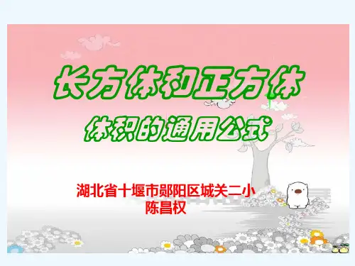 数学人教版五年级下册长方体和正方体体积的通用公式