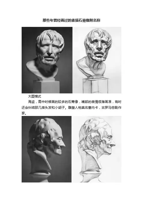 那些年曾经画过的素描石膏像附名称