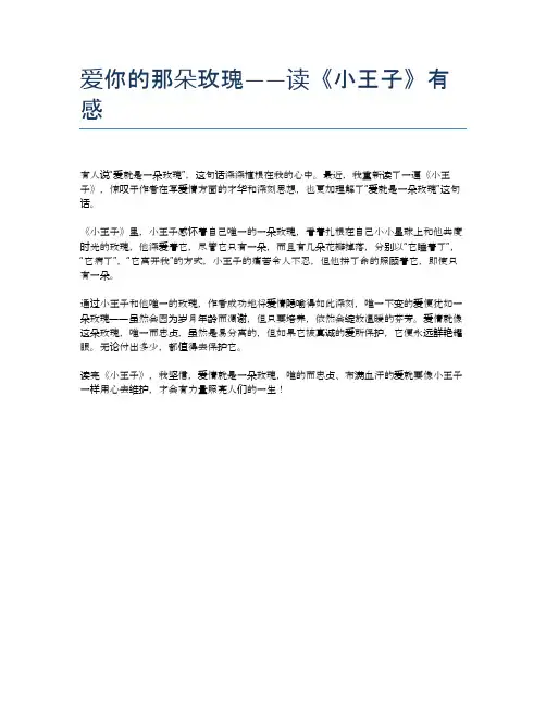 爱你的那朵玫瑰——读《小王子》有感
