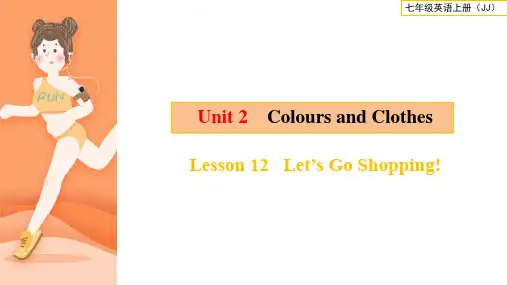 冀教版七年级上册英语精品课件 unit2 Colours and Clothes Lesson 12