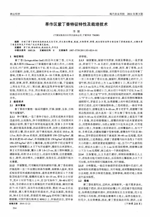 旱作区紫丁香特征特性及栽培技术