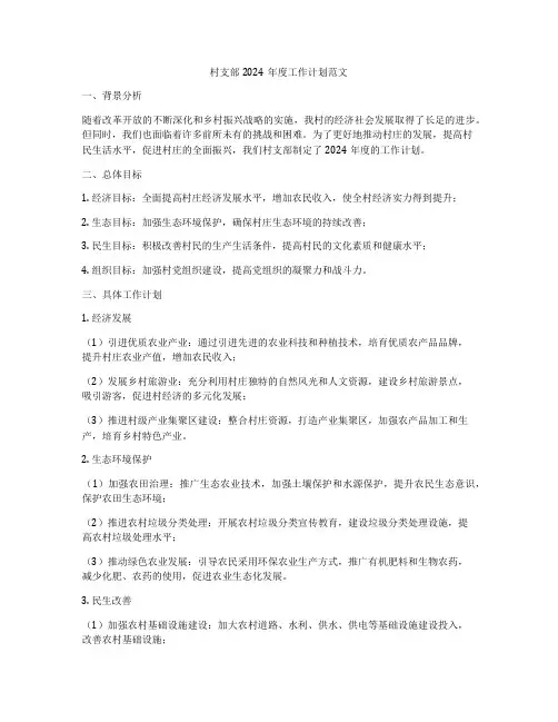 村支部2024年度工作计划范文