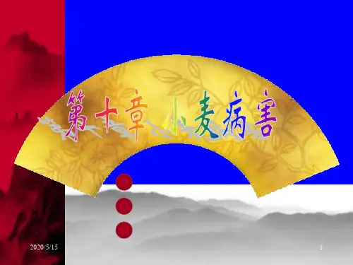 《植物病理学》PPT课件ppt课件