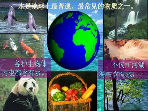 人教版九年级化学上册 第四单元课题3 水的组成(共21张PPT)