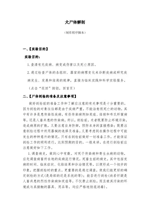 犬的尸体剖检