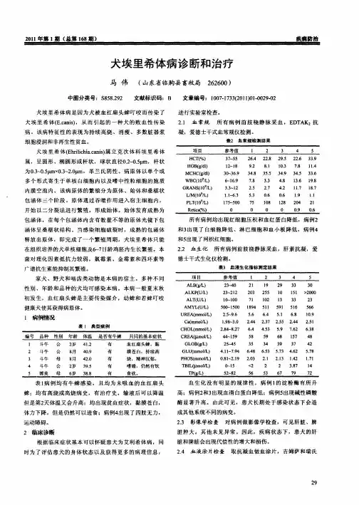 犬埃里希体病诊断和治疗