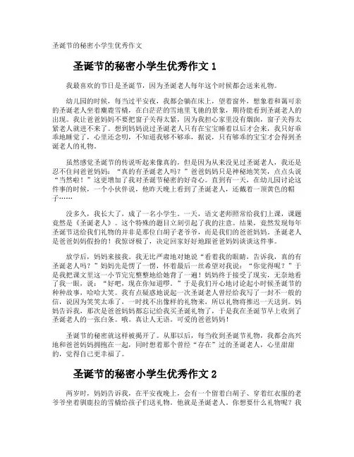 圣诞节的秘密小学生优秀作文