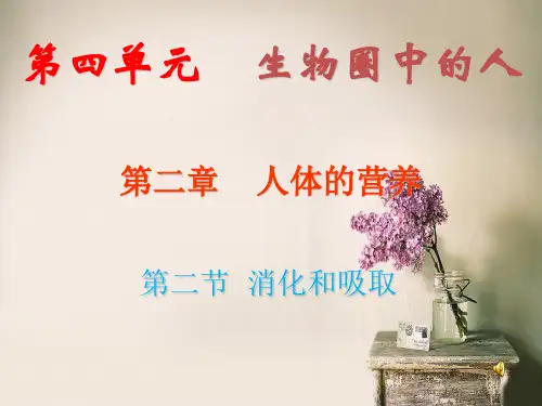 人教版七年级生物下册 第四单元第二章第二节 消化和吸收  课件 