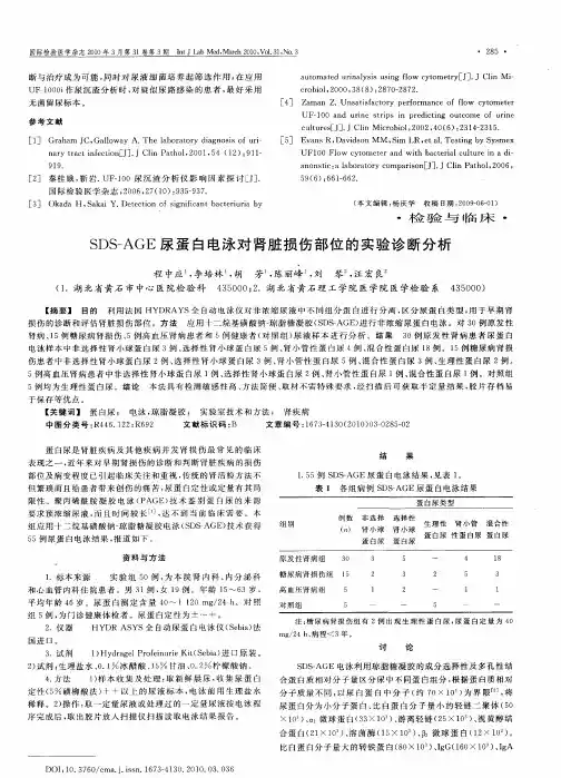 SDS—AGE尿蛋白电泳对肾脏损伤部位的实验诊断分析