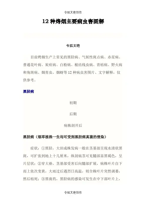 12种烤烟主要病虫害图解之令狐文艳创作