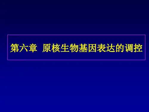 大学生物遗传学：原核生物基因表达的调控