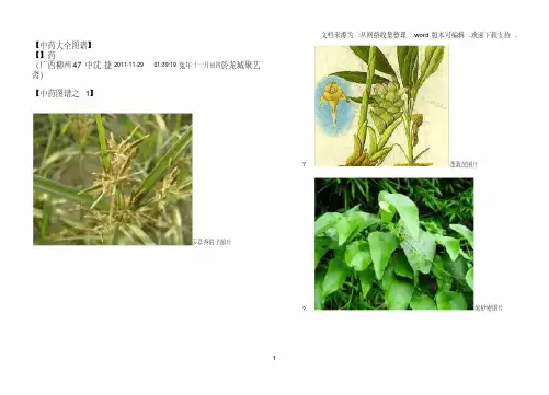 【中药大全图谱】16k2栏打印图稿1