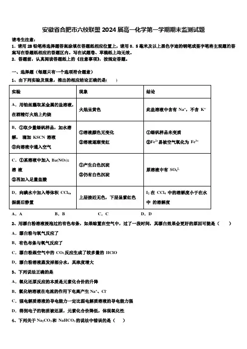 安徽省合肥市六校联盟2024届高一化学第一学期期末监测试题含解析