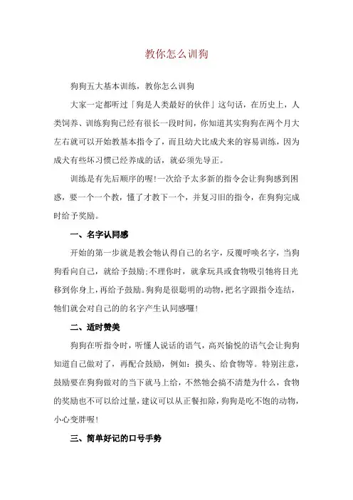 教你怎么训狗