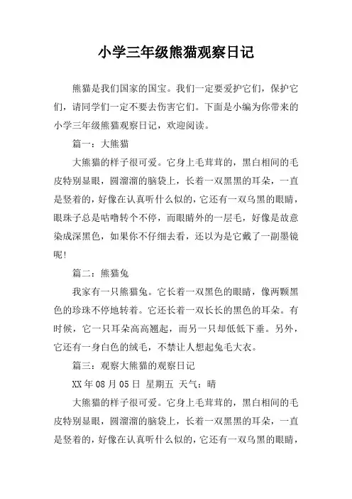 小学三年级熊猫观察日记