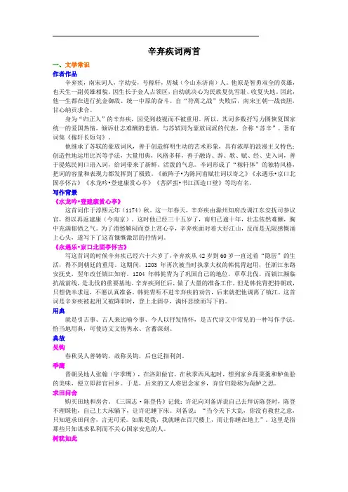 《辛弃疾词二首》语文高考文言知识积累与复习讲解