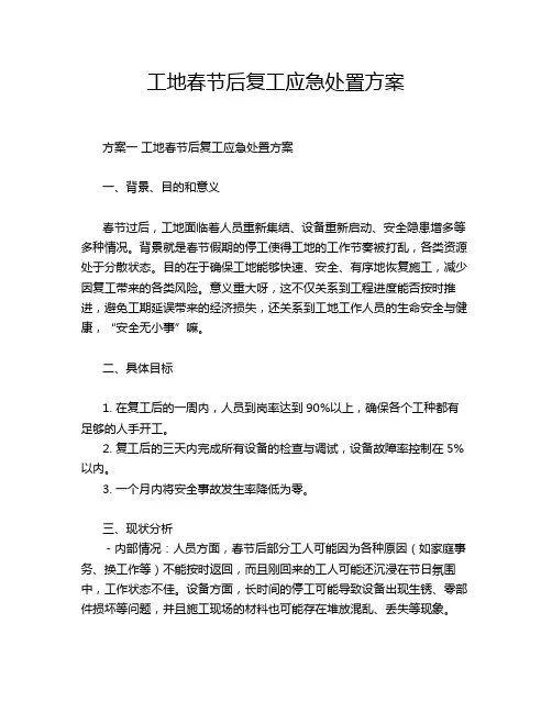 工地春节后复工应急处置方案