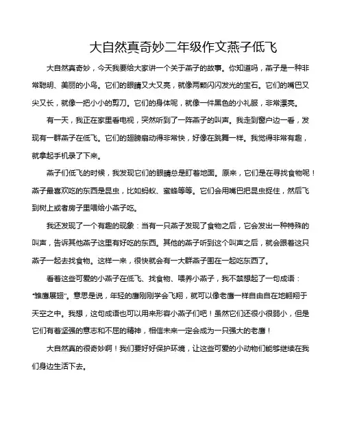 大自然真奇妙二年级作文燕子低飞