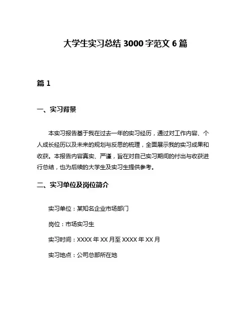 大学生实习总结3000字范文6篇