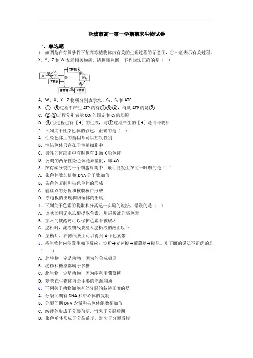盐城市高一第一学期期末生物试卷