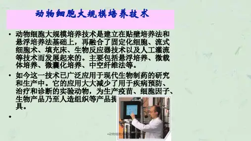 动物细胞大规模培养技术