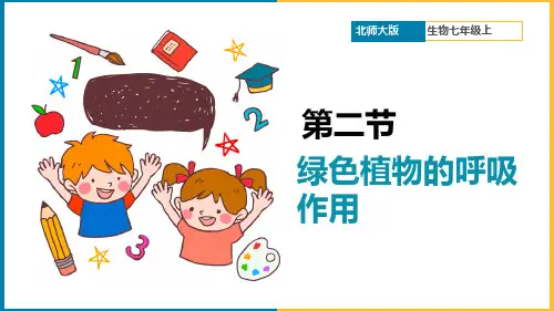 初中生物人教版七年级上册《3.5.2绿色植物的呼吸作用》课件