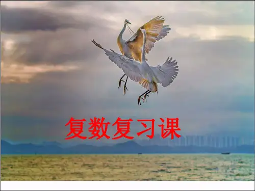 复数习题课