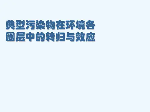 典型污染物在环境各圈层中的转归与效应[可修改版ppt]